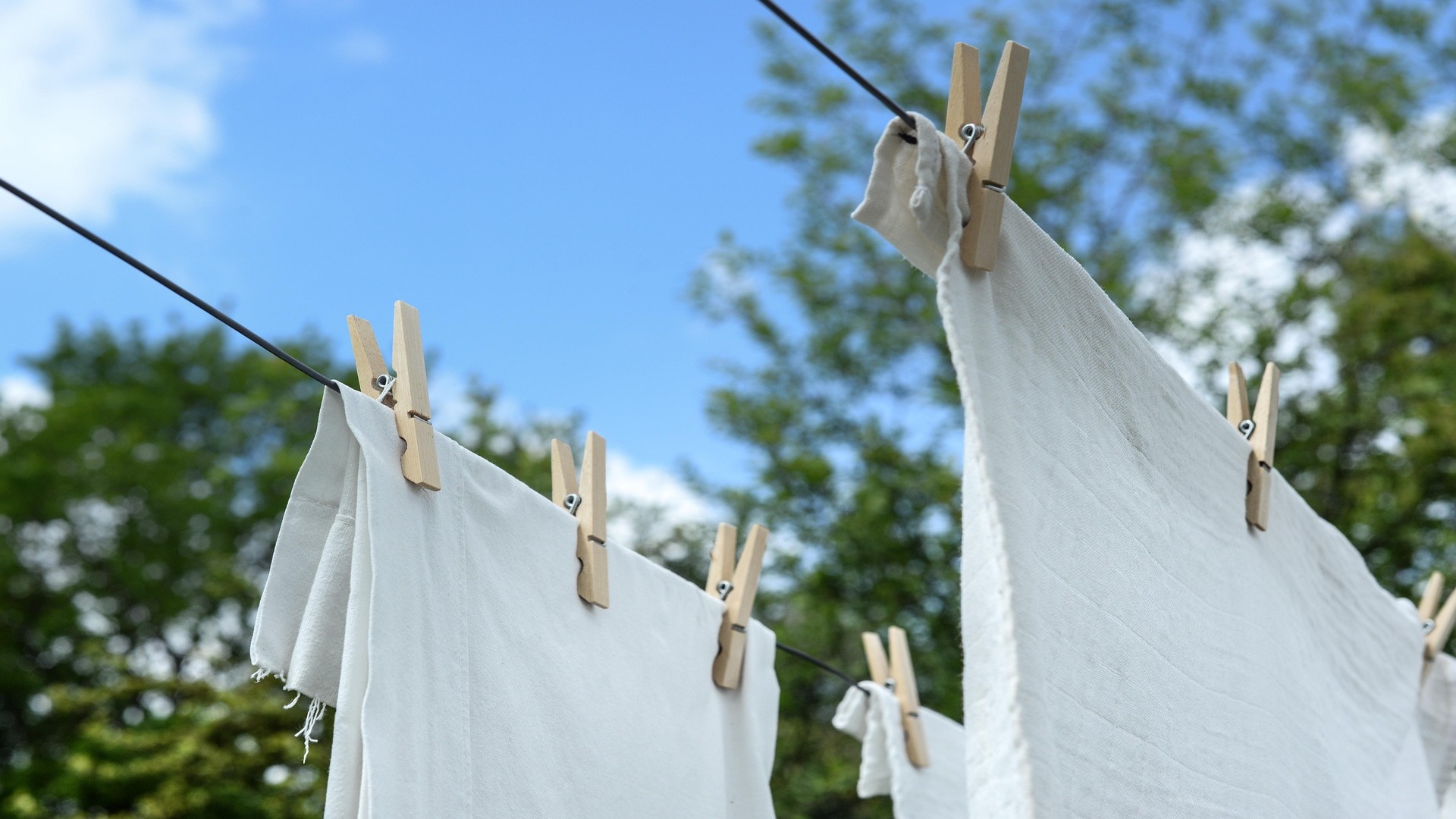 Let Suds Guide You! The Golden Rule for Laundry Detergent Dosing