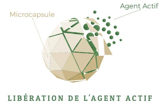 Time Capsules in Your Laundry Pod? How Micro-Technology Lets Fragrance Live in Your Clothes