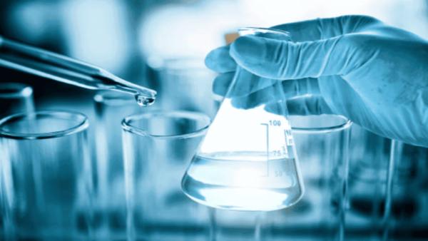 Enzyme Preparations