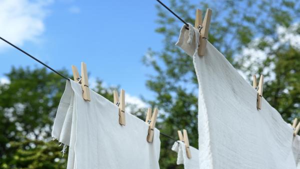 Let Suds Guide You! The Golden Rule for Laundry Detergent Dosing